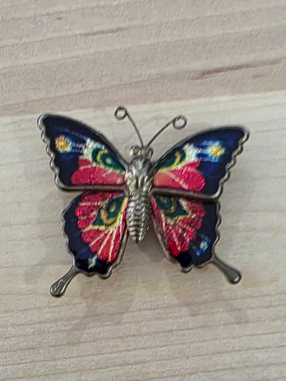 Colorful vibrant‎ butterfly Magnet
